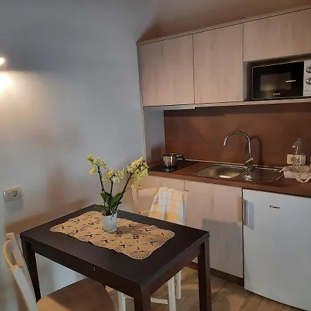 Daire Apartmaji In Sobe Odlicna Hisa Štanjel