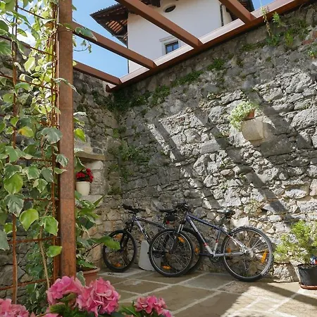 Apartmaji In Sobe Odlicna Hisa Daire *